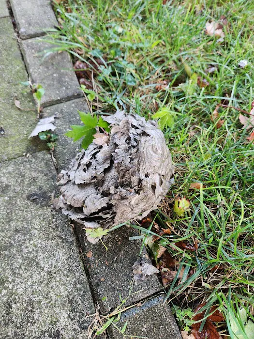 Smithereen Pest Management Services Picture 10