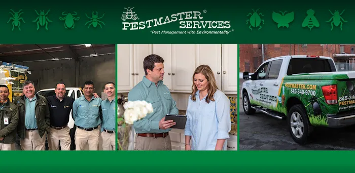 Pestmaster Services of South Suburbs Picture 1