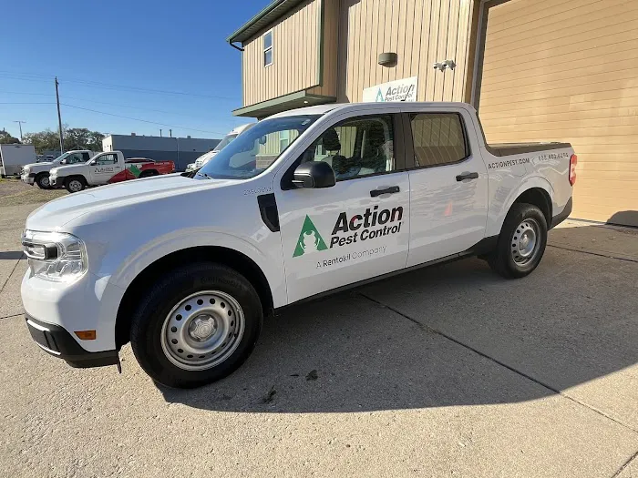 Action Pest Control Picture 10