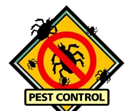 Best Pest Control