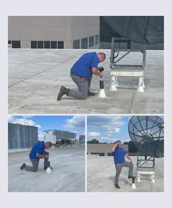 Zycor Pest Management Picture 2