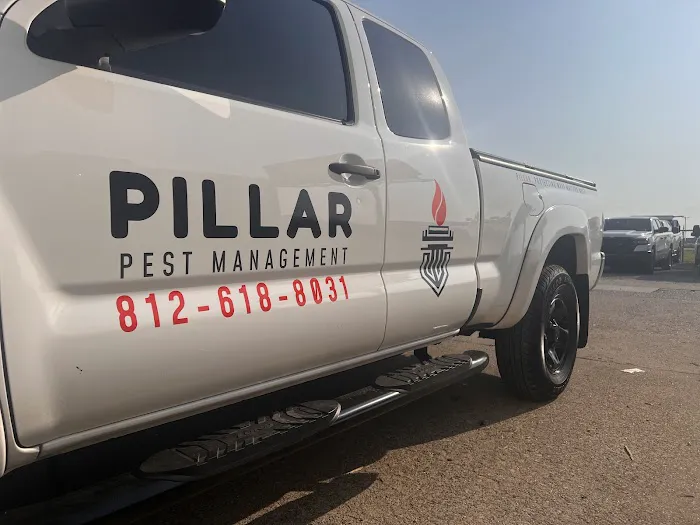 Pillar Pest Management Picture 2