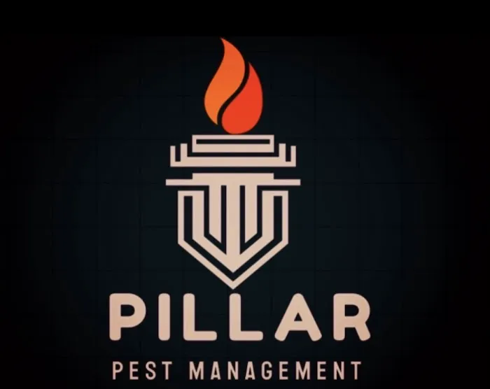 Pillar Pest Management Picture 1