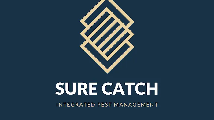 Sure Catch Picture 5