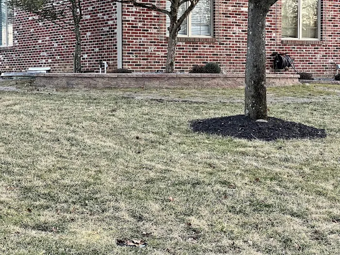 Clouse Landscaping LLC Picture 2