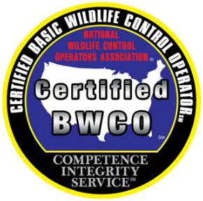 Varment Guard Wildlife Services Picture 1