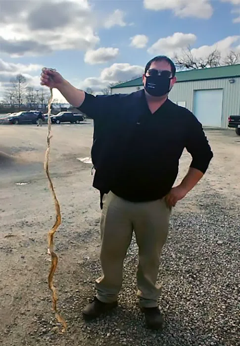 Black Diamond Pest Control Picture 2