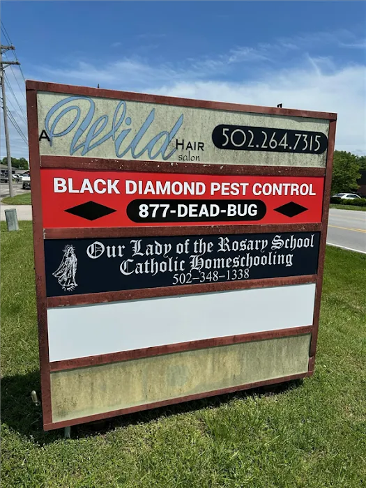 Black Diamond Pest Control Picture 4