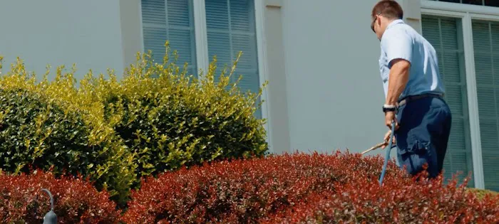 Etown Exterminating Company, Inc. Picture 1