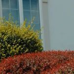 Etown Exterminating Company, Inc.