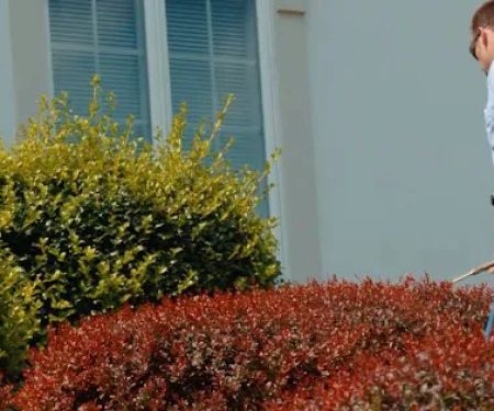 Etown Exterminating Company, Inc.