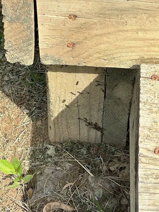 BCPC Exterminating Inc. Picture 6
