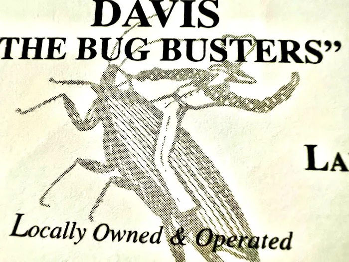 Davis The Bug Busters Picture 2
