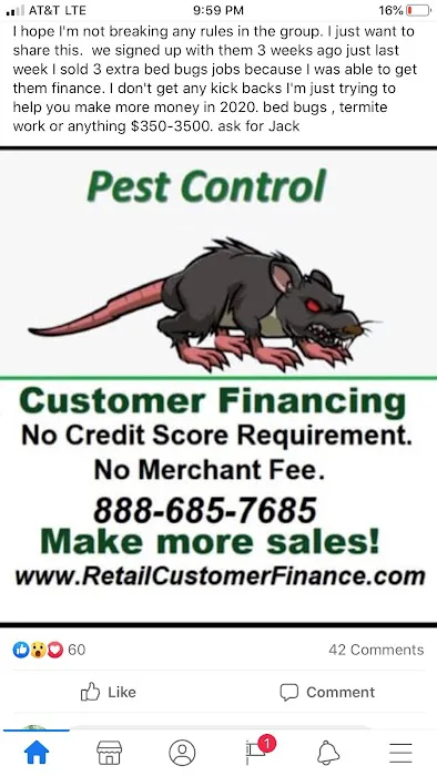 Bee Gone Pest Control Picture 1