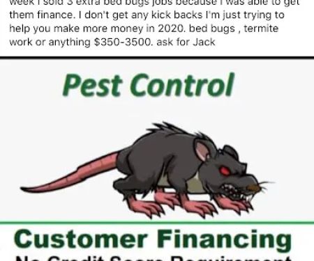 Bee Gone Pest Control