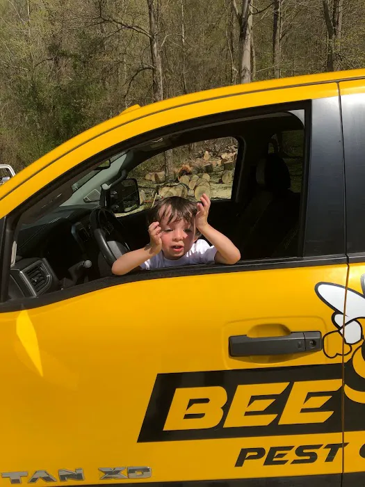 Bee Gone Pest Control Picture 7