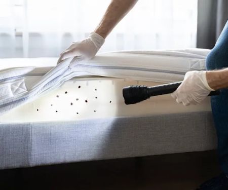 Pest Management Services, Inc.