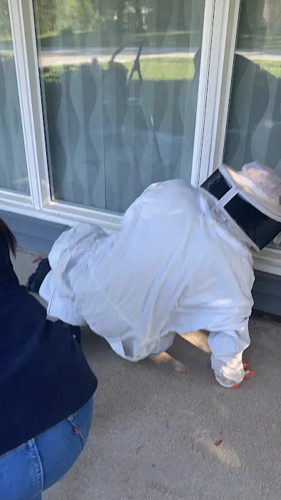 R.B. Pest Solutions Picture 2