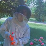 R.B. Pest Solutions