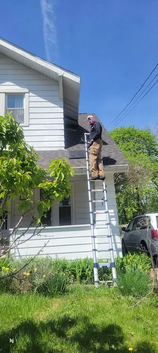 Best Way Animal Removal Picture 10