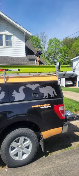 Best Way Animal Removal Picture 1