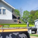 Best Way Animal Removal