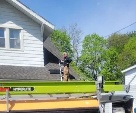 Best Way Animal Removal