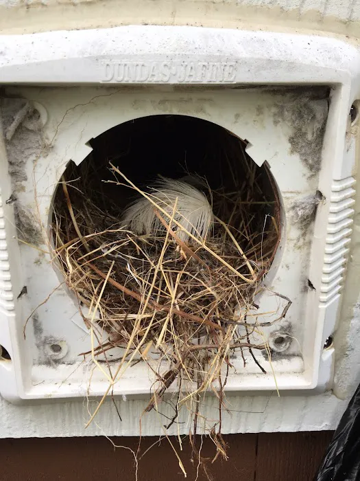 Best Way Animal Removal Picture 6