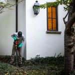 Greenix Pest Control