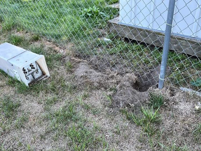 Mike's Nuisance Animal Control Picture 2