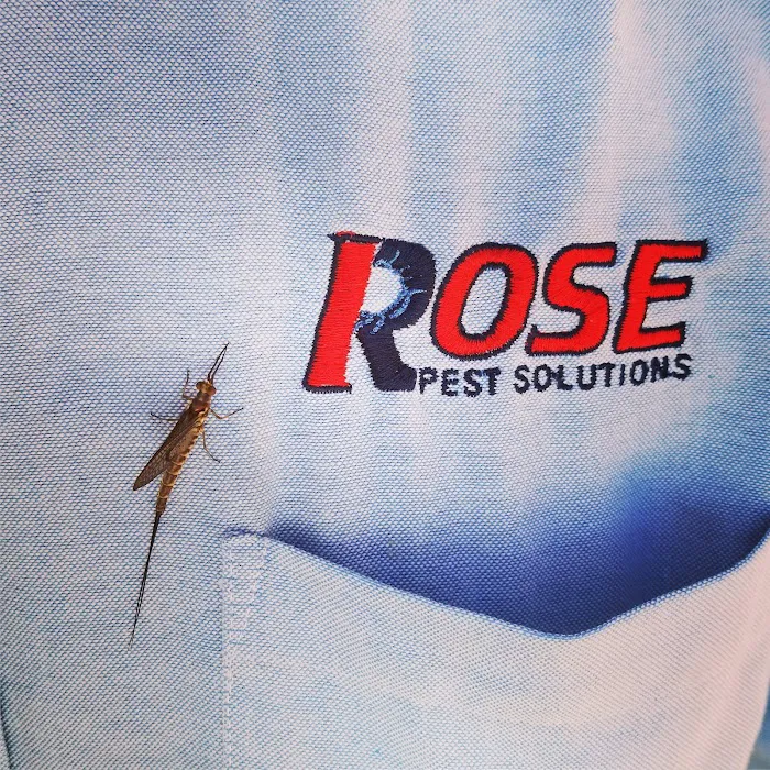 Rose Pest Solutions Grand Rapids Picture 6