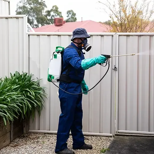 Griffin Pest Solutions, Inc. Picture 2