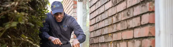 Griffin Pest Solutions, Inc. Picture 4
