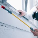 Aardvark Pest Management