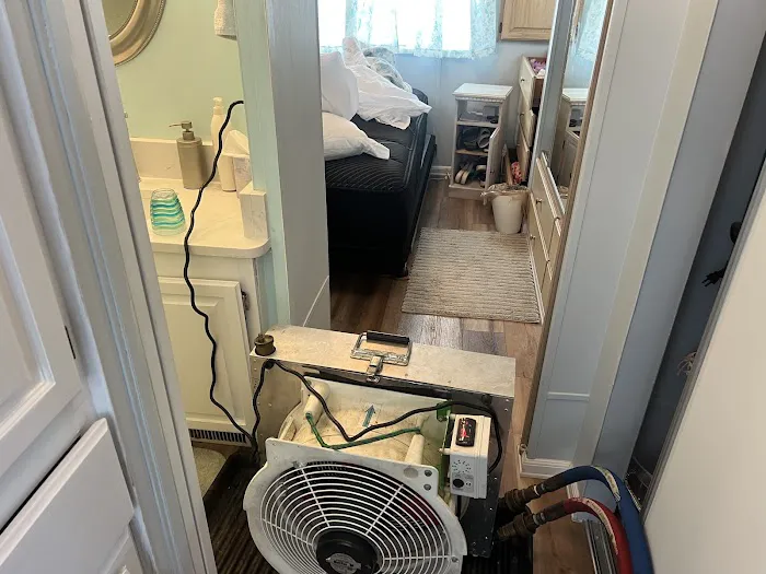 Bed Bug Specialist Picture 6