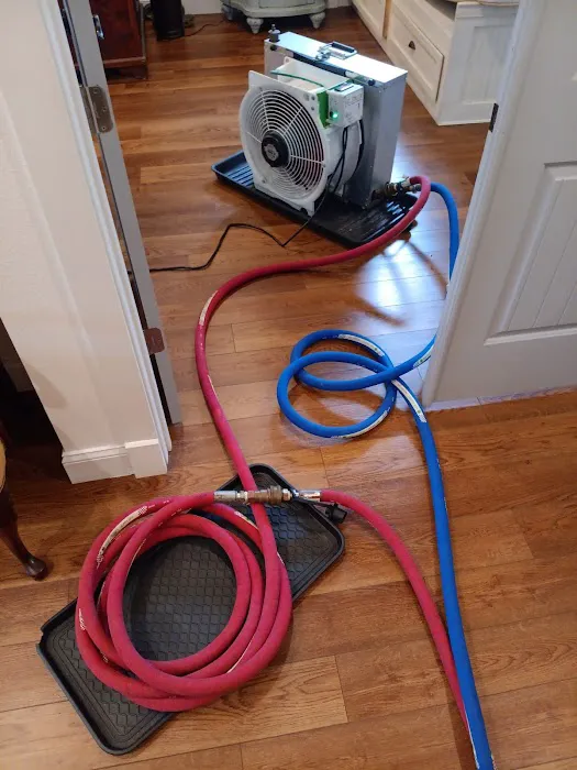 Bed Bug Specialist Picture 8