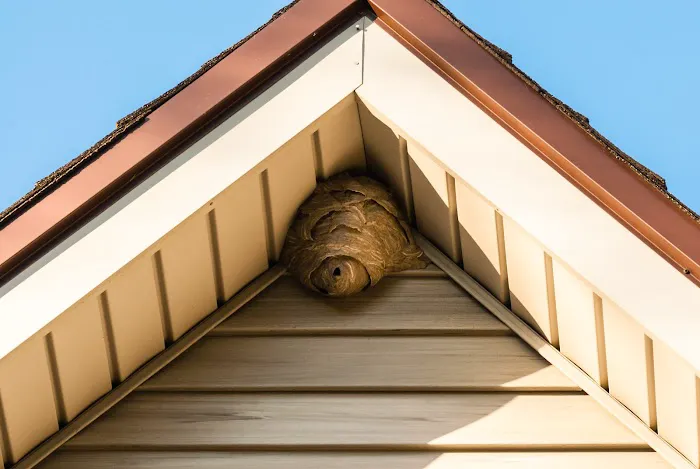 Smitter Pest Control Co Picture 6