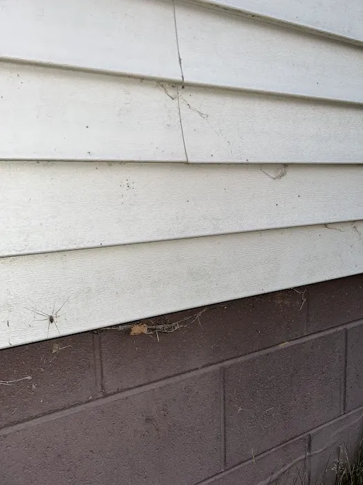 Greenix Pest Control Picture 6