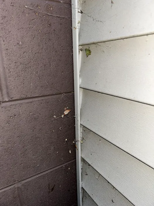 Greenix Pest Control Picture 8