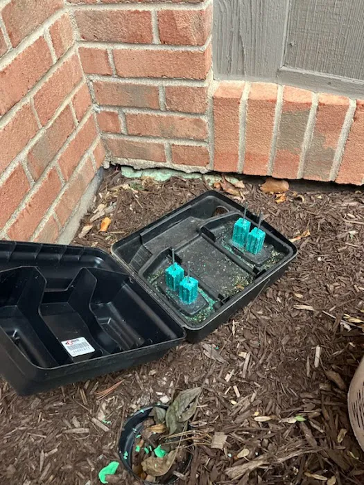 Greenix Pest Control Picture 2