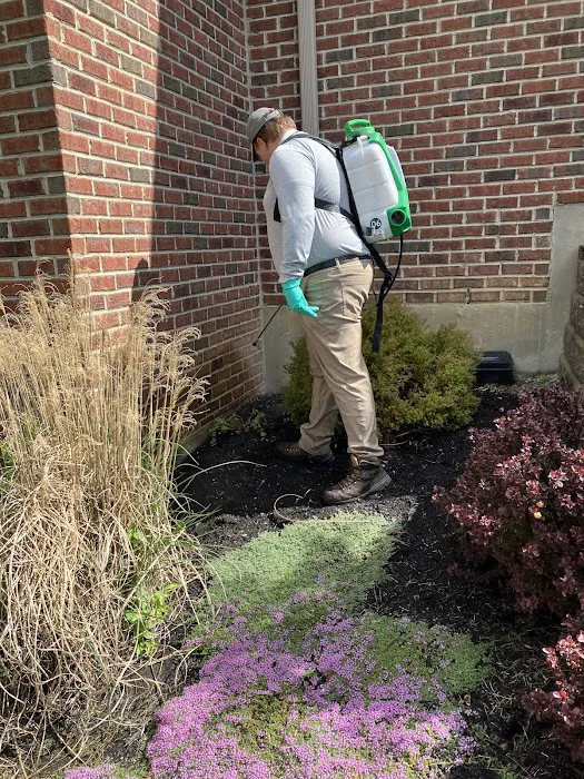 Greenix Pest Control Picture 3
