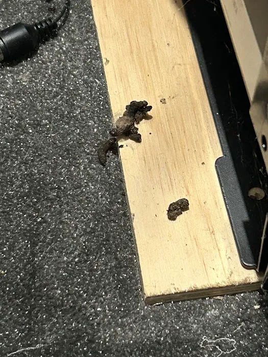 Greenix Pest Control Picture 5