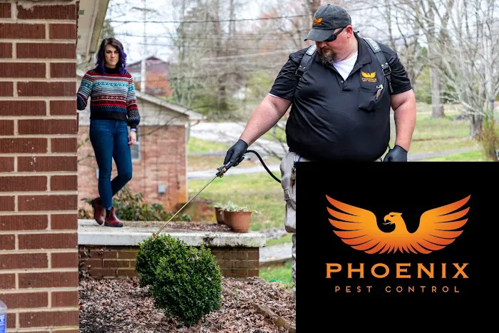 Phoenix Pest Control Picture 1
