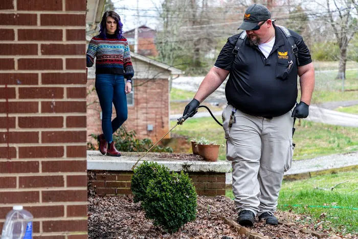 Phoenix Pest Control Picture 8