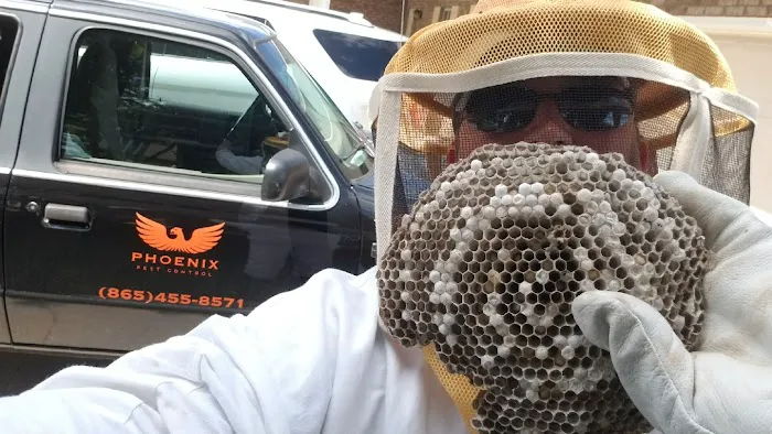 Phoenix Pest Control Picture 6