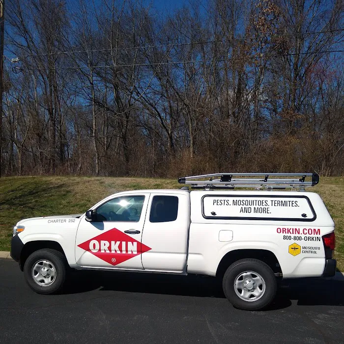 Orkin Picture 7