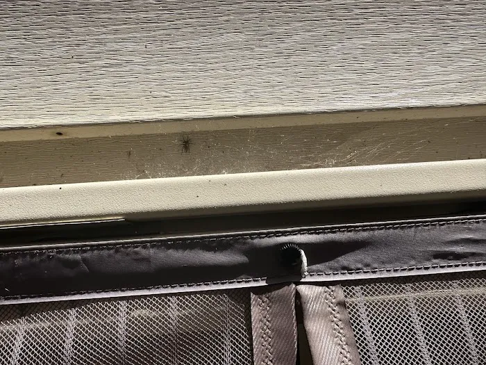 Essential Pest Control Picture 4