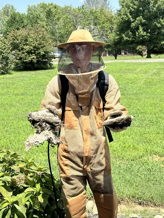 Essential Pest Control Picture 3