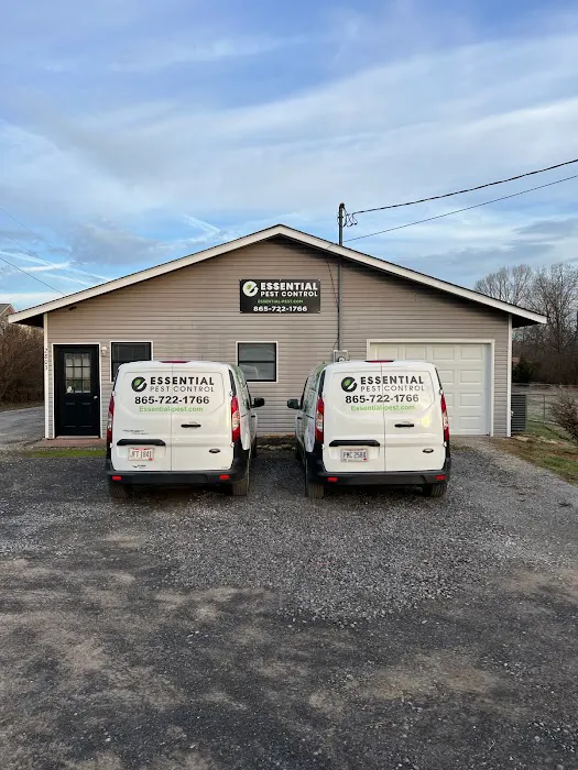Essential Pest Control Picture 6