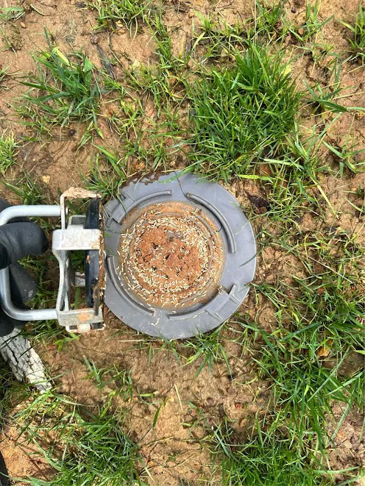 Essential Pest Control Picture 5